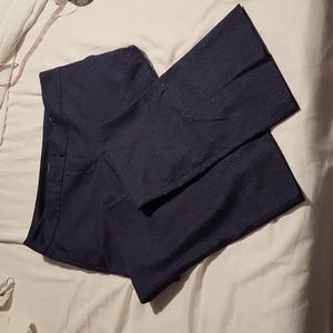 Ann Tyalor pants